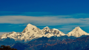 imgi_15_7-1 (1)